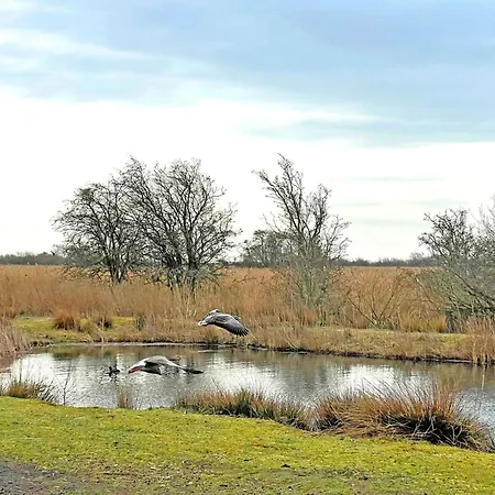 A04 Pangani * Fehmarn