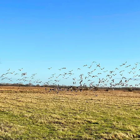 A04 Pangani Lägenhet Fehmarn